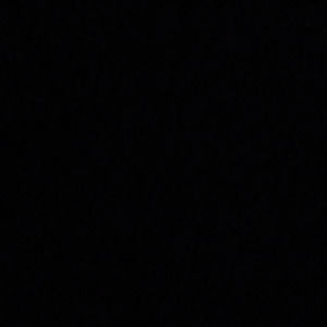 Meet your Posher, Damara